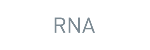 RNA