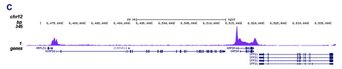 ChIP-seq figure C
