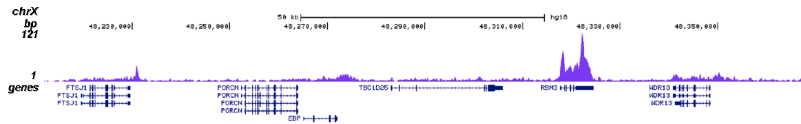 ChIP-seq