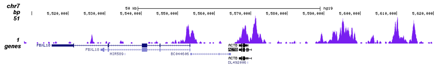 ChIP-seq