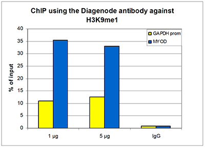 ChIP results