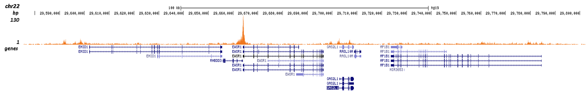 H3K27ac Antibody - ChIP Grade (C15200184) | Diagenode