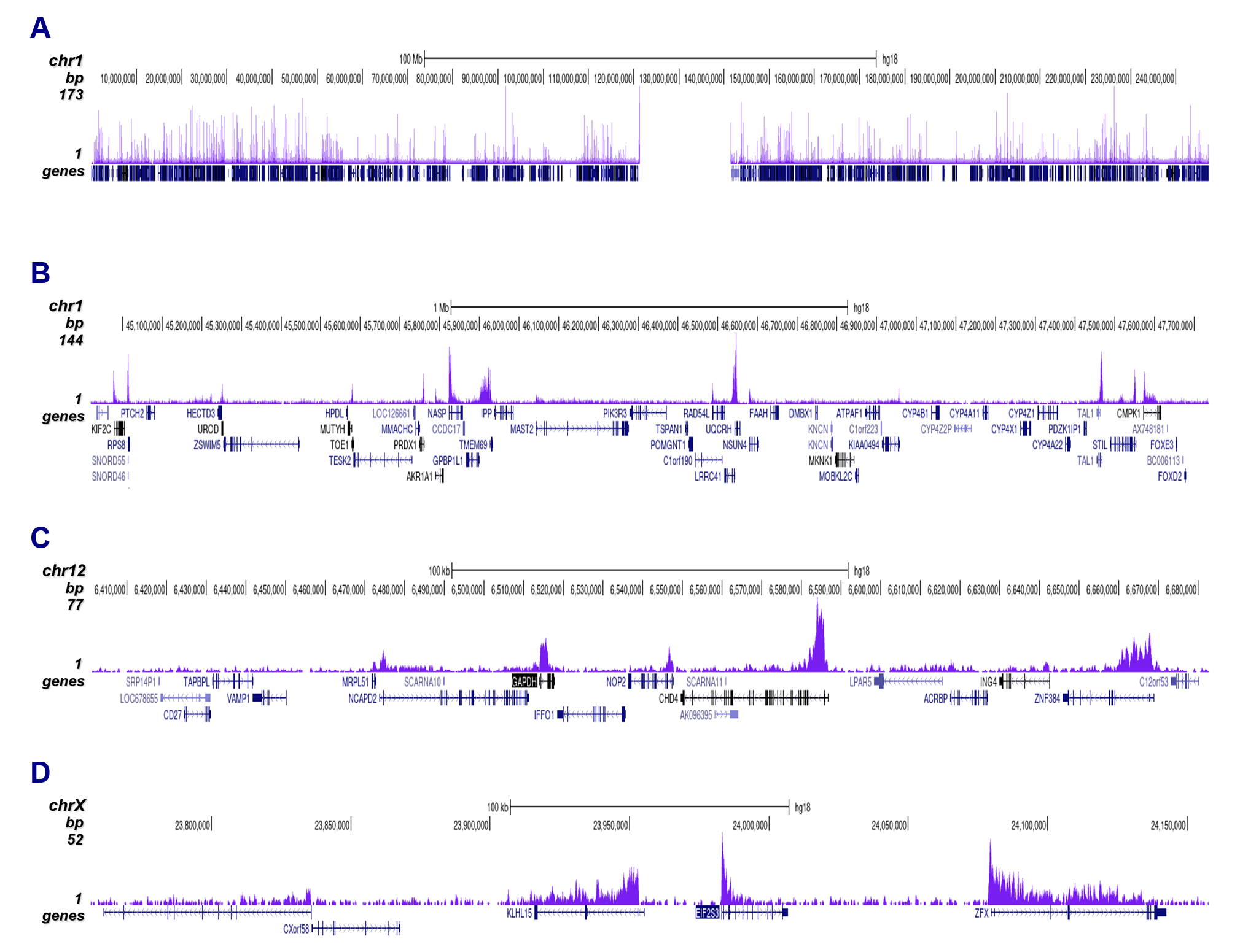 H3K79me3 Antibody ChIP-seq Grade