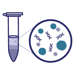 A tube showing cell-free DNA